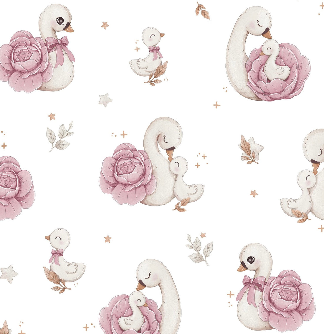 Album Photo Cygnes 🦢